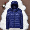 puffer sem capuzpuffer com e sem capuzpuffer com capuzpufferjaqueta puffer femininajaqueta femininajaquetacasaco feminino pufferModa femininaMODA INVERNO